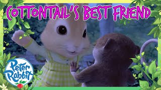 OfficialPeterRabbit  🐰❤️ Cottontails New Best Friend ❤️🐰  Cartoons for Kids [upl. by Beard]