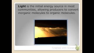 Topic 4  Nutrition in Ecosystems [upl. by Olmstead]