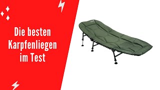 ✅ Die besten Karpfenliegen im Test  Top 5 [upl. by Allene]