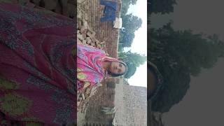 shorts villagesecret minivlog new villagelifesecrets shortvideo vlog music bollywoodsongs [upl. by Luane]