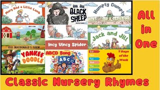 Nursery Rhymes  Mary had a little lamb  Baa Baa black sheep  Humpty Dumpty  Incy Vincy  Yankee [upl. by Yahc]