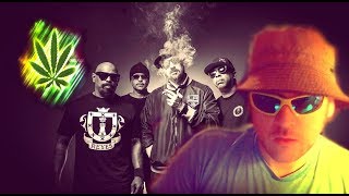 Cypress Hill  B Real Calls Psychiatric Ward  Insane  Jay Dyer Prank [upl. by Eriuqs135]