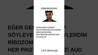 Peroksizom Her protein sentezi AUG ile başlar [upl. by Llenrod]