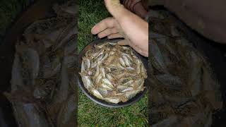 YENİ HOBİ YÜKLENİYORshorts fish fishing like reels tur [upl. by Samuele]