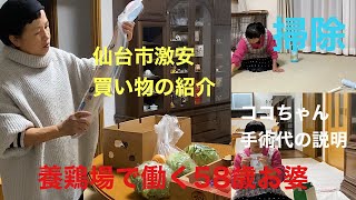 宮城県最低賃金夫婦️⃣養鶏場で休みの日️⃣ココちゃんと病院と今後の治療 [upl. by Taimi]