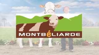 Présentation OS Montbéliarde [upl. by Enyledam]