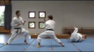 Heian Shodan Bunkai [upl. by Lierbag]