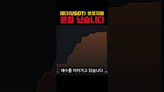 테더USDT 홀더는 조심하세요 세력들의 작전이 시작됐습니다 [upl. by Aivatnahs]