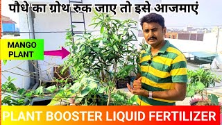 Garden Fertilizer tips Best Liquid Fertilizer for terracegarden जबरदस्त बेहतरीन जैविक खाद [upl. by Dleifniw710]