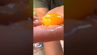 Why Was This Inside of This Chicken Egg chickenegg [upl. by Ahsinut]