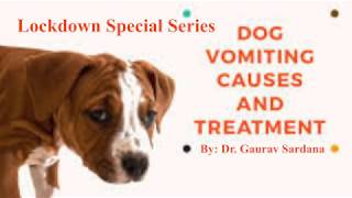 dog vomiting home treatment [upl. by Martineau222]