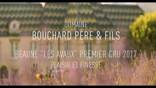 Domaine Bouchard Père amp Fils Beaune « Les Avaux » 1er cru 2017 – Plaisir et finesse épisode 26 [upl. by Aznola606]