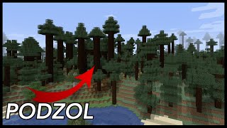 What Is Podzol Used For In Minecraft [upl. by Semaj650]