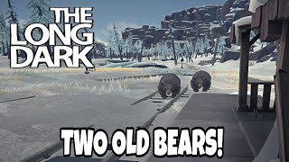 The Long Dark  Always Hunted Challenge WITH TWO OLD BEARS [upl. by Janelle]