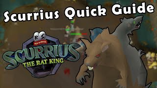 Scurrius Day 1 Quick Guide  OSRS NEW Rat King Boss [upl. by Prudhoe432]