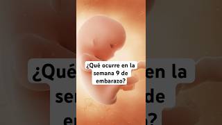 🤔 ¿Qué ocurre en la semana 9 de embarazo 🤰 Síntomas y desarrollo del bebé [upl. by Koren]