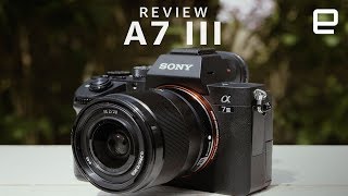 Sony A7 III Review [upl. by Llenrub780]