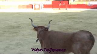 Fragua de las anillas Alagón 12062017  Arturo Elvira y Javier Ezquerro  HD [upl. by Anaej]