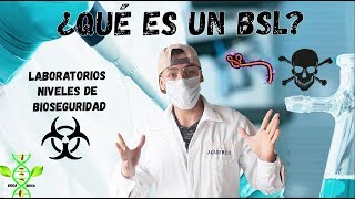 NIVELES DE BIOSEGURIDAD BSL LABORATORIOS ° Fácil y Rápido 😱 [upl. by Treharne]