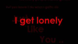 Drake  I Get Lonely Too Lyrics [upl. by Annaehr]