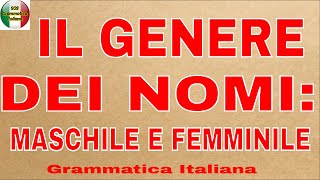 IL GENERE DEI NOMI MASCHILE E FEMMINILE  Nomi mobili indipendenti di genere comune e promiscui [upl. by Naarah]