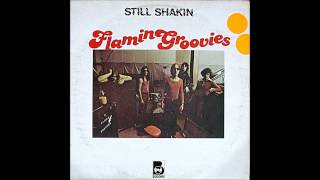 Flamin Groovies  Louie Louie  1971 [upl. by Eleazar]