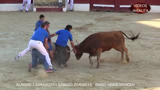 ALAGÓN ZGZ RESUMEN CONCURSO DE ROSCADEROS SÁBADO 20 JUNIO 2015 HNOSMARCEN [upl. by Bell]