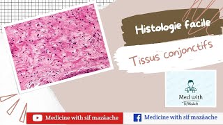 3 Les Tissus conjonctifs  Histologie 1ère MED [upl. by Kiele]