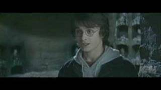 Harry Potter Movie Dub [upl. by Aibonez]