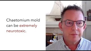 Chaetomium Mold Toxicity  Leroys harrowing battle with Mold [upl. by Nadler]