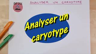 Analyser un caryotype  Cycle 4 [upl. by Leid]