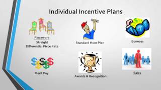 Company Incentive Plans [upl. by Lessard]