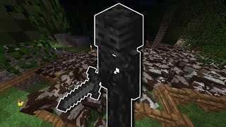 wither skeleton farm in minecraft  glitch [upl. by Gerge]