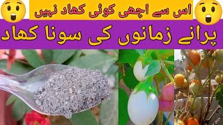 homemade potassium fertilizer for plants  using wood ash in your garden [upl. by Aciraj703]