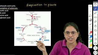 NEET 2024  Identify the step in tricarboxylic acid cycle which does not involve oxidation of subst [upl. by Skyler]