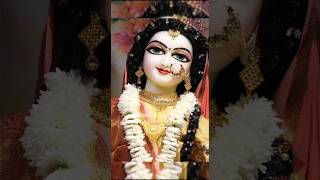 Barsane wali radhe part 11 radha krishna radhakrishna radharani harekrishna [upl. by Yraccaz394]