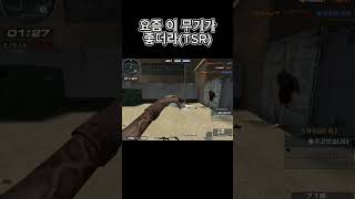 요즘 tsr 소음기 못 얻은거 후회 된다 서든어택 서든 서든어택클랜전 롱전 tsr 스나이퍼 [upl. by Aromat751]