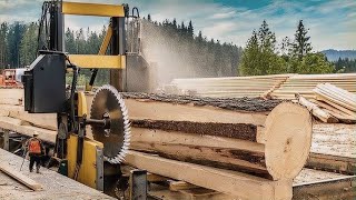 Extreme Sawmill Live Power Precision and Adrenaline [upl. by Yrtsed955]