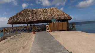 Mangrove Beach Corendon Curacao AllInclusive Resort Curio by Hilton Netherlands [upl. by Trask115]