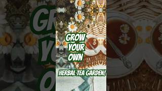 Grow Your Own Herbal Tea Garden 🌿 [upl. by Hpesojnhoj624]