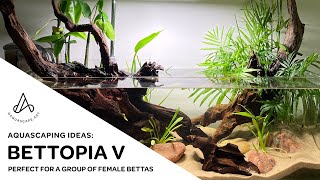 Aquascape Ideas Shallow tropical pondstyle riparium bettafish tank Bettopia V [upl. by Elohcan]