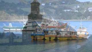 El pavo  Música de Chiloé [upl. by Auburn233]