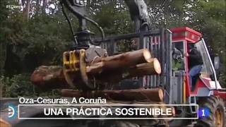 Programa España Directo  TVE Reportaje industria de la madera de Galicia [upl. by Eseila]