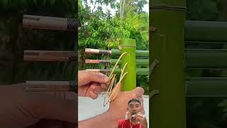 membuat panah dari bambu bamboogun bow shortvideo faktaunik faktamenarik shorts toys bamboo [upl. by Ynaoj565]