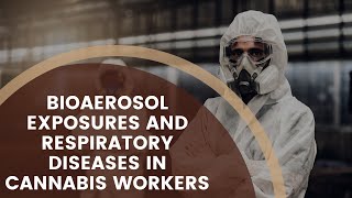 Uncovering risks Cannabis workers respiratory health [upl. by Ahsinor384]