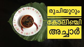 ഇഞ്ചി അല്ല ഇഞ്ചിയുടെ അപ്പന കോലിഞ്ചി അച്ചാർ  Kolinchi Achar  ACHAR  PICKLE  Ginger  inchi achar [upl. by Bal365]