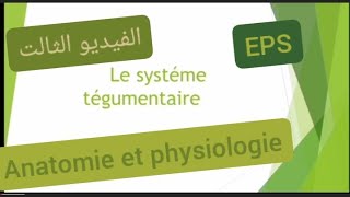 Anatomie et physiologie  le systéme tégumentaire EPS تحضير لمباراة التعليم تخصص تربية بدنية [upl. by Iram991]