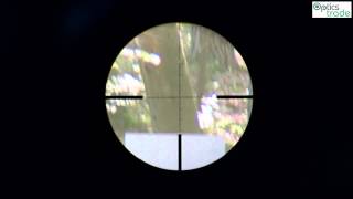 Vortex Viper PST 624x50 SFP reticle EBR1 MRAD subtensions [upl. by Orel796]