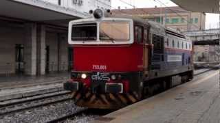 Treni Merci e Locomotive Speciali  Train Spotting  St di Padova 2013 [upl. by Aneerol]