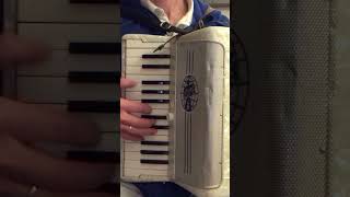 Geburtstagslied mit Akkordeon Hohner 48 [upl. by Marys]